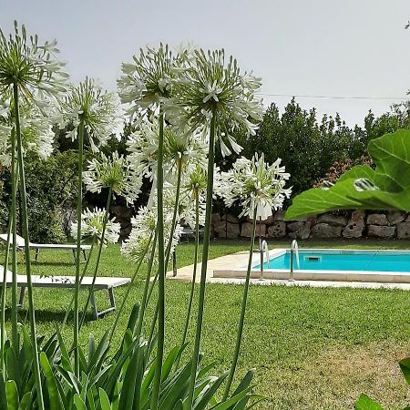 B&B Masseria Sant'Angelo Antonelli Exterior photo