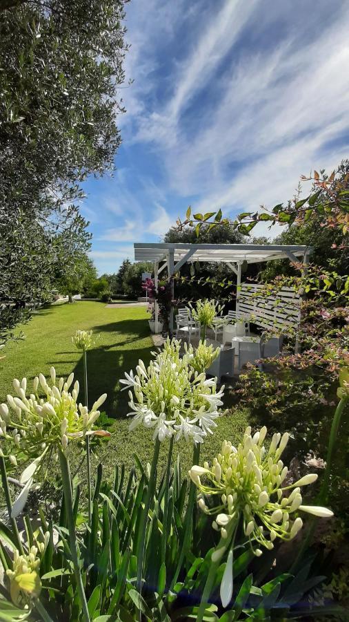 B&B Masseria Sant'Angelo Antonelli Exterior photo